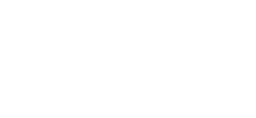 Bosec logo
